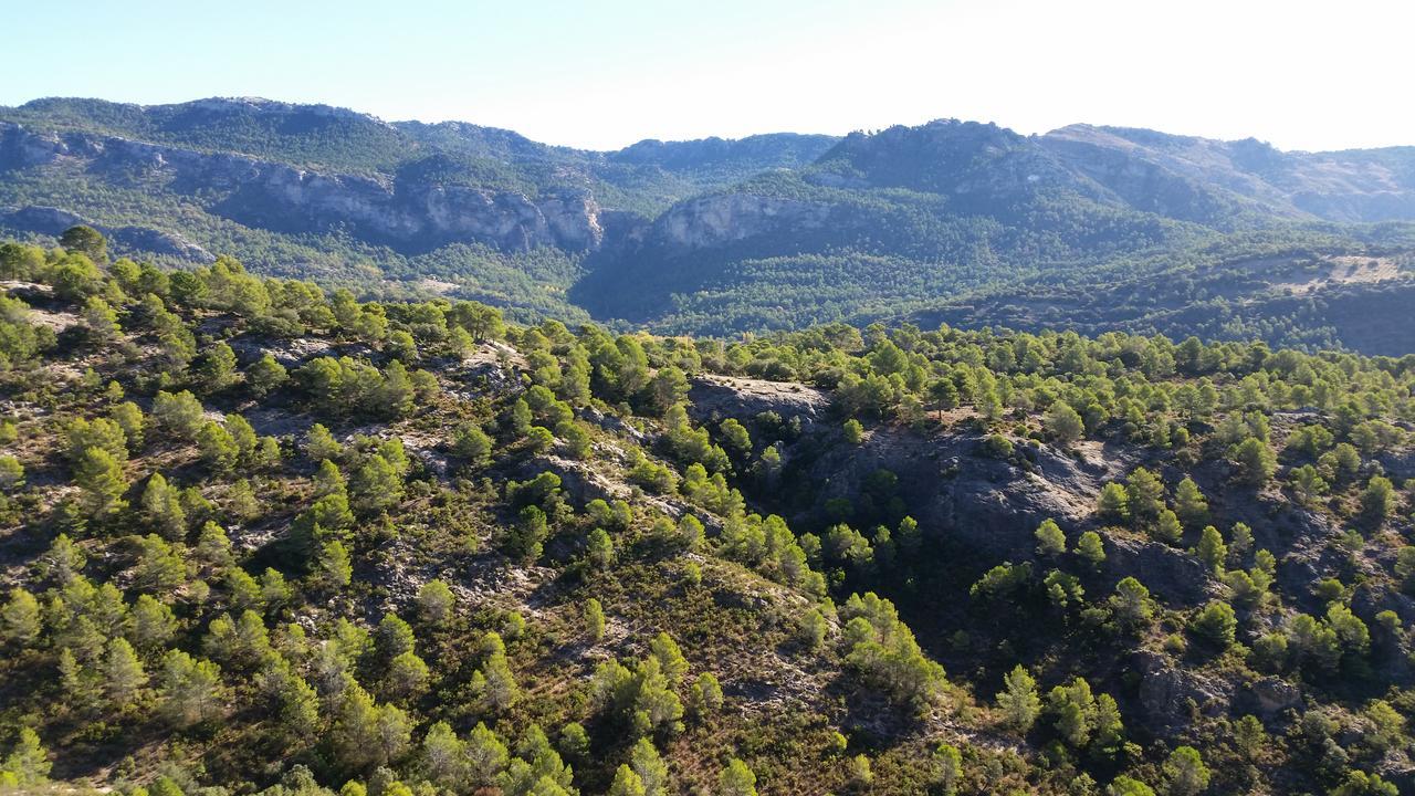 Fuente La Raja